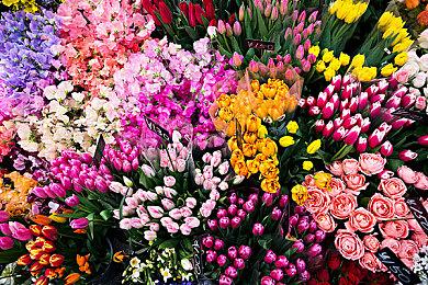 《光与影：33号远征队》媒体赞誉片 官方感谢中国玩家